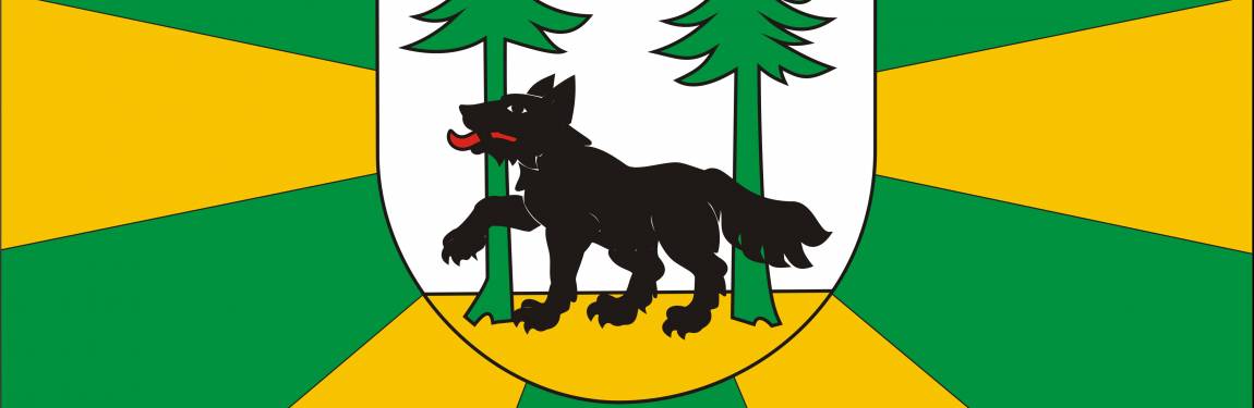 Infolinia dla bezdomnych 