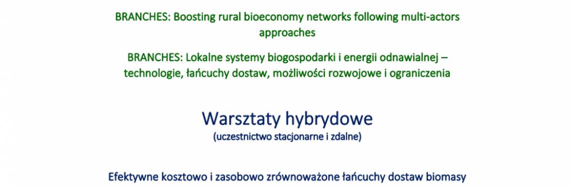 Warsztaty sieci BRANCHES