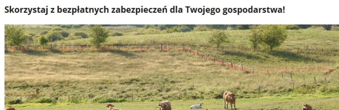 Pastwisko, krowy, odszkodowanie